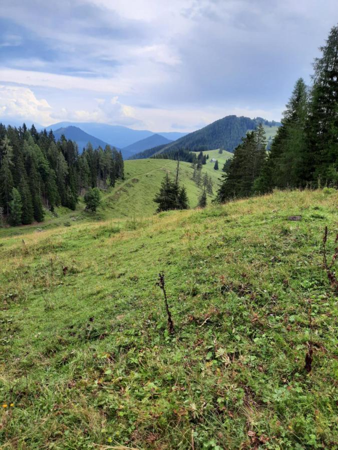 Appartamento Haus Steinthaler Stockenboi Esterno foto